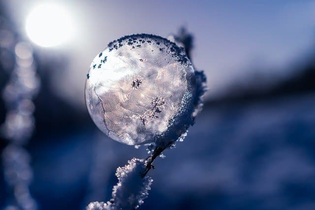 An image of a frozen orb balanced on a limb of a plant.